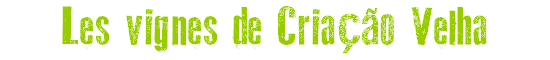 Vignes de Cria&ccedil;&atilde;o Velha