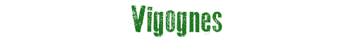 Vigognes