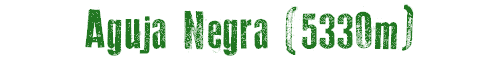 Aguja Negra