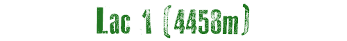Lac 1