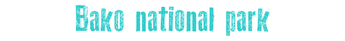 Bako national park
