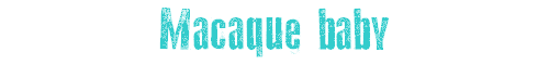 Macaque Baby