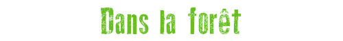 Dans la foret