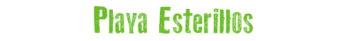 Playa Esterillos