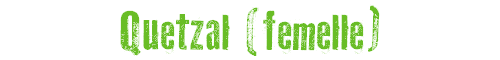 Quetzal (femelle)