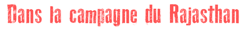 Dans la campagne du Rajasthan