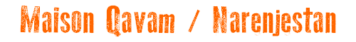 Maison Qavam / Narenjestan