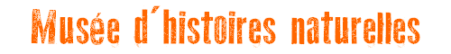 Muse d'histoires naturelles