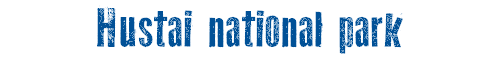 Hustai national park