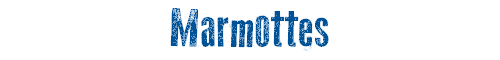 Marmottes