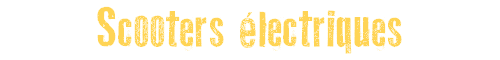 Scooter lectriques