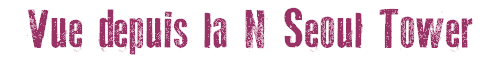 Vue depuis la N Seoul Tower