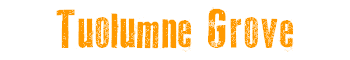 Tuolumne Grove